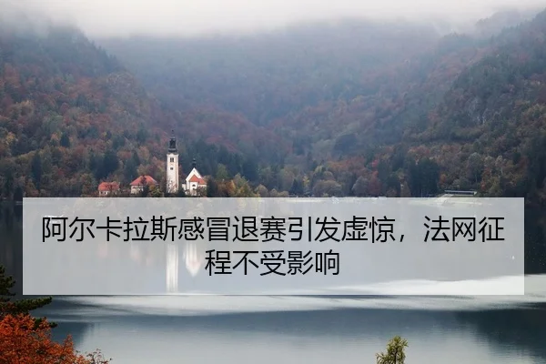a-er-ka-la-si-gan-mao-tui-sai-yin-fa-xu-jing-fa-wang-zheng-cheng-bu-shou-ying-xiang-1-517.jpg